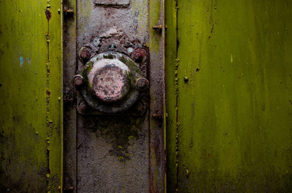 Photo repair cabinet door