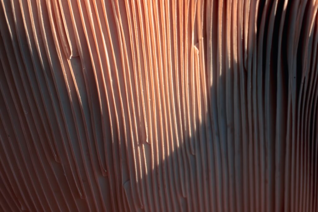 Photo amenajare gradina