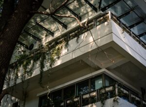 Photo garden vertical balcony