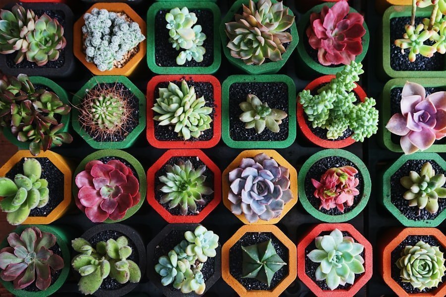 Photo orderliness