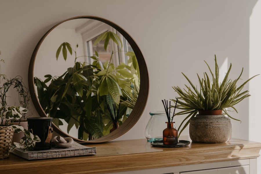 indoor plants