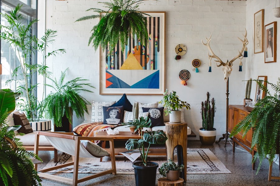 Photo indoor plants