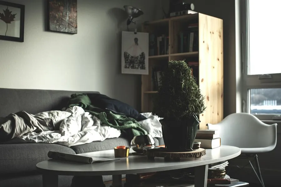 Photo furniture care mistakes