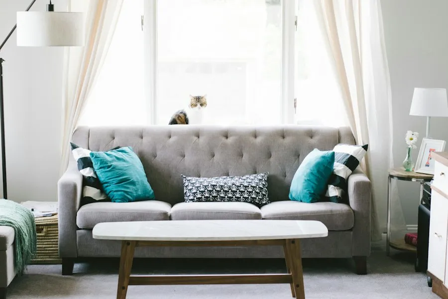 furniture care mistakes